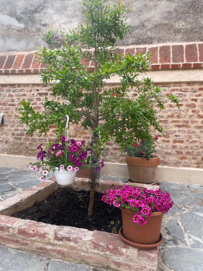 Residenza Nikol Appartamento Giulia كاسال مونفيراتو المظهر الخارجي الصورة