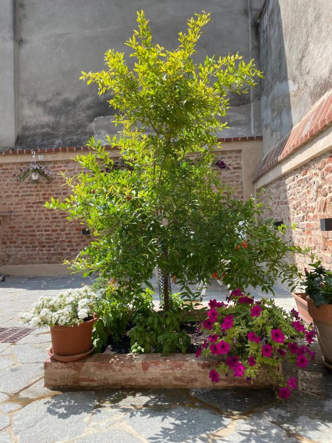 Residenza Nikol Appartamento Giulia كاسال مونفيراتو المظهر الخارجي الصورة